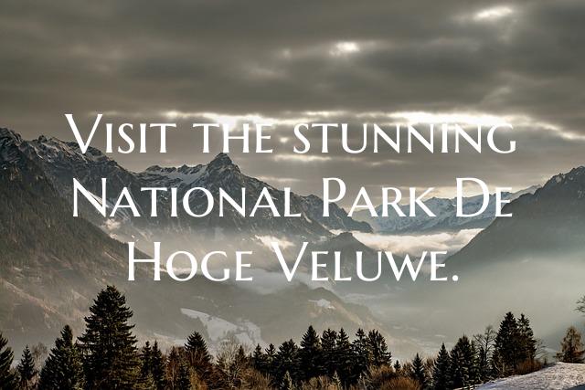Visit the stunning National Park De Hoge Veluwe.