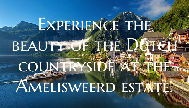 Experience the beauty of the Dutch countryside at ...