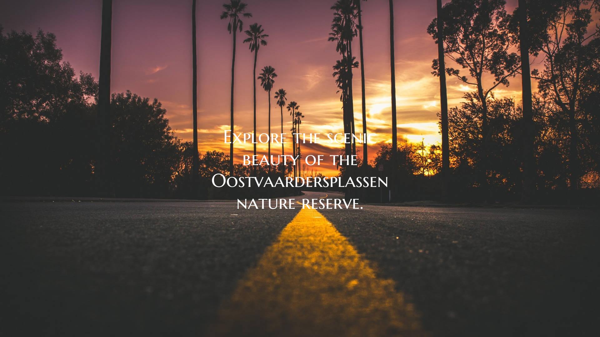 Explore the scenic beauty of the Oostvaardersplass...