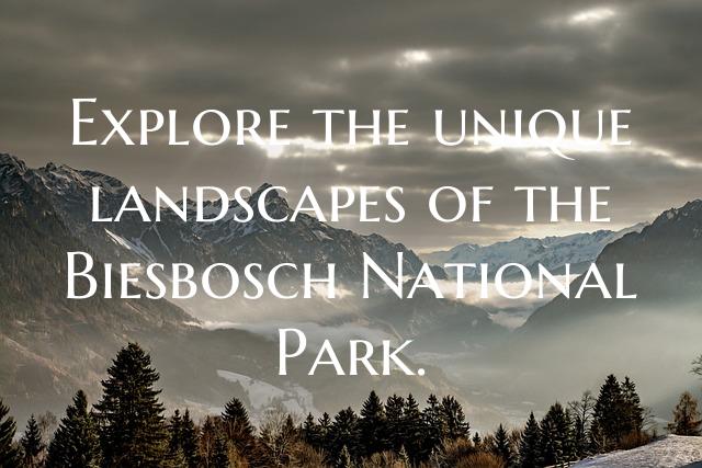 Explore the unique landscapes of the Biesbosch National Park.